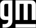 General Motors logo