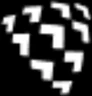 Shield AI logo